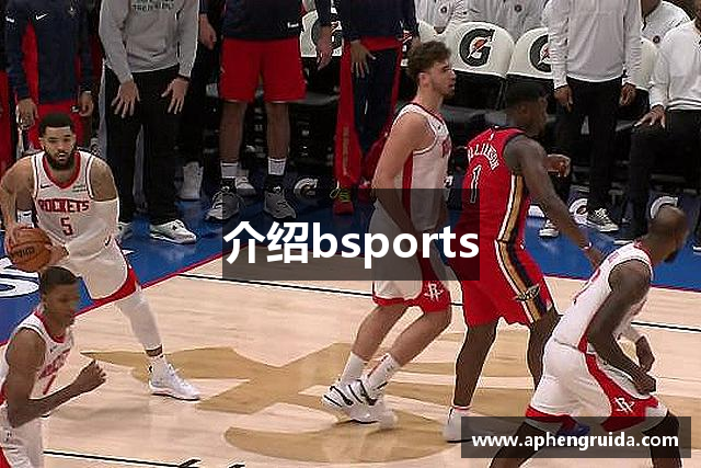 介绍bsports